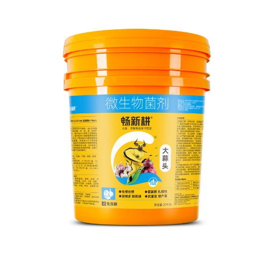 大蒜头20kg